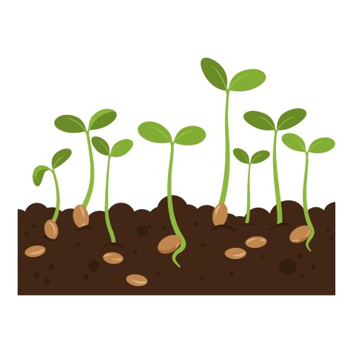 Тест по биологии: Разнообразие и строение семени (5-6 класс)