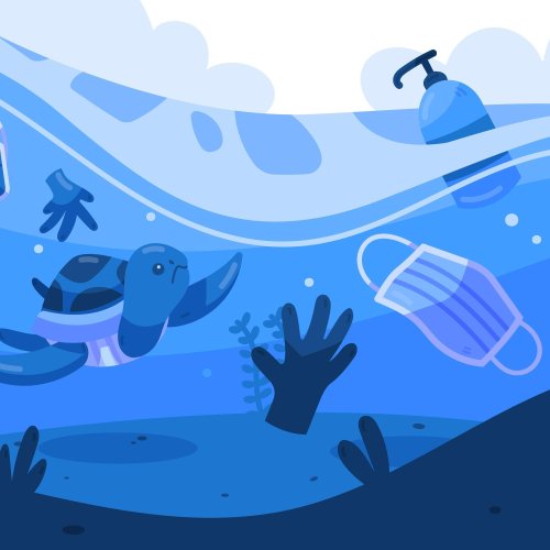 Тест по географии: Экологические проблемы Мирового океана (7 класс)