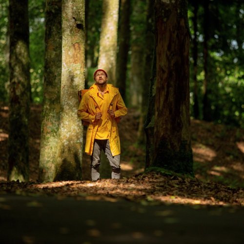 Тест по окружающему миру: Роль леса в природе и жизни людей (4 класс)