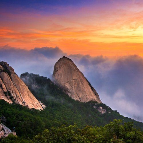 Тест по географии: Зарубежная Азия (11 класс)