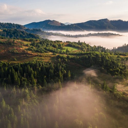 Тест по географии: Природное разнообразие и его роль в жизни людей (10 класс)