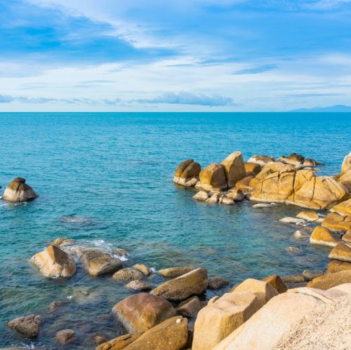 Тест по окружающему миру: Охрана природы Черноморского побережья (4 класс)