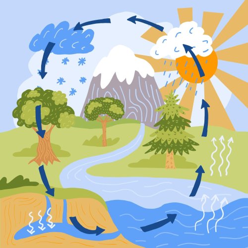 Тест по географии: Как происходит Мировой круговорот воды (5-6 класс)