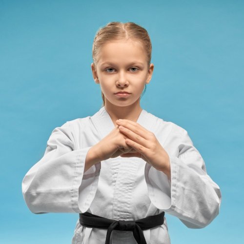 Тест по физкультуре: Элементы единоборств (11 класс)