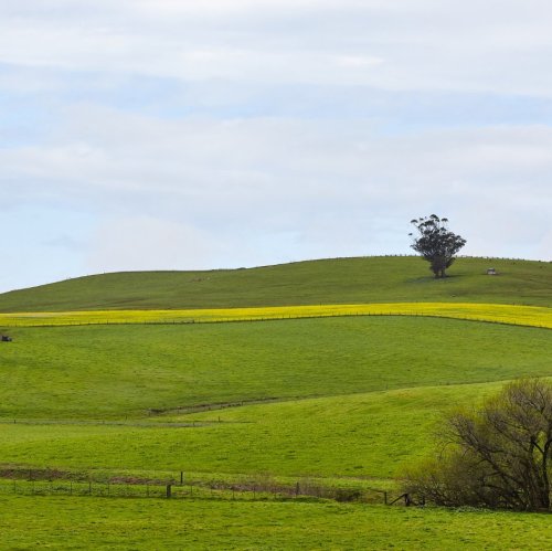 Тест по географии: Рельеф Земли. Равнины (5-6 класс)
