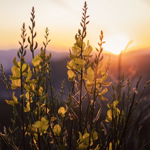 Тест по географии: Почему утром и вечером холоднее, чем днём (5-6 класс)