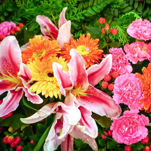 Тест по биологии: Строение и многообразие покрытосеменных растений (6 класс)