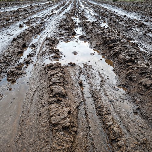 Тест по ОБЖ: Сель (7 класс)