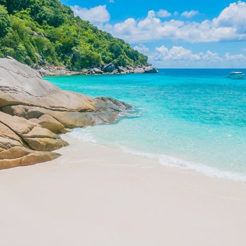 Тест по географии: Мировой океан и климат (7 класс)