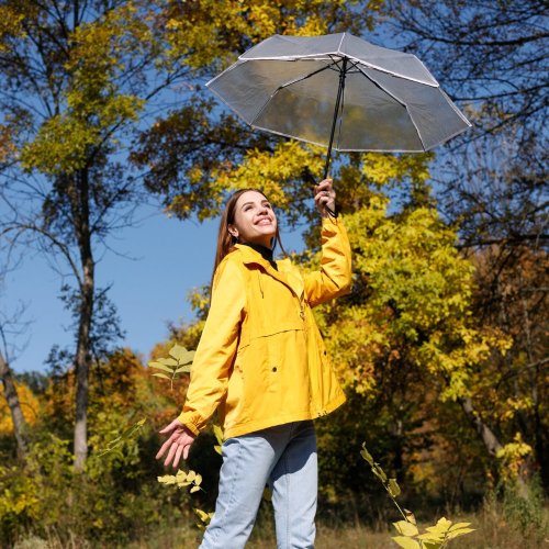 Тест по географии: Погода и климат (5-6 класс)