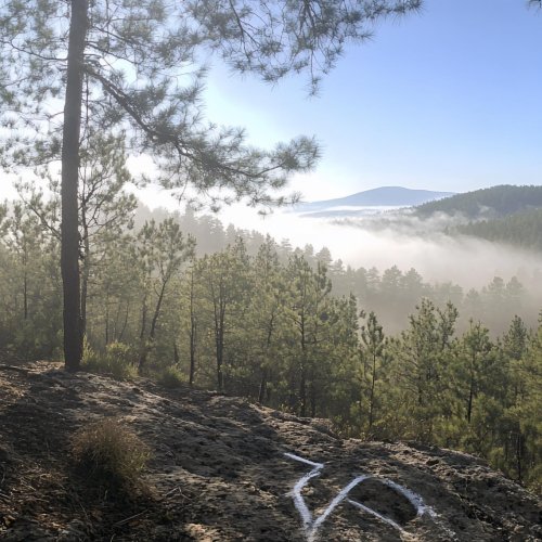 Тест по географии: Сибирь (9 класс)