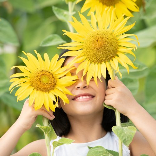 Тест по окружающему миру: Солнце, растения и мы с вами (3 класс)