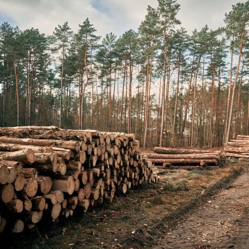 Тест по географии: Отрасли специализации Восточной Сибири (9 класс)