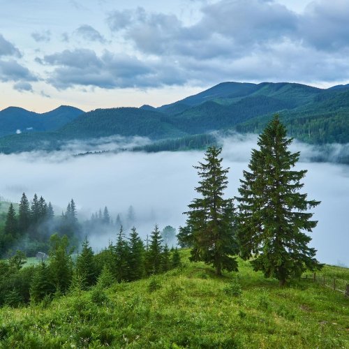 Тест по географии: Природный облик Земли (5-6 класс)