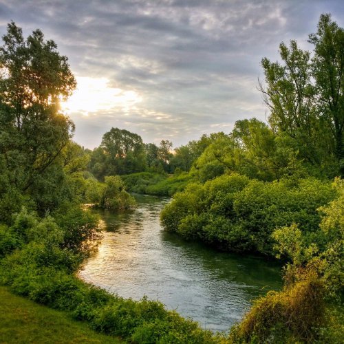 Тест по географии: По каким «правилам» живёт река (5-6 класс)