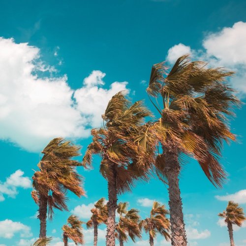 Тест по географии: Ветер (5-6 класс)