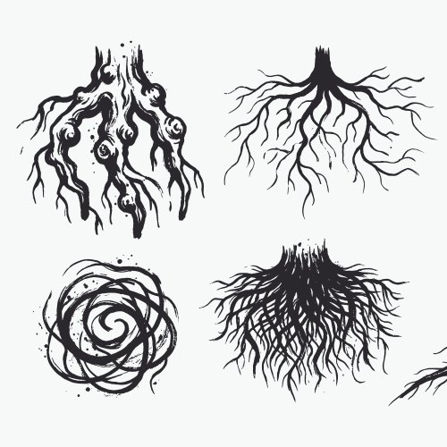 Тест по биологии: Виды корней (5-6 класс)