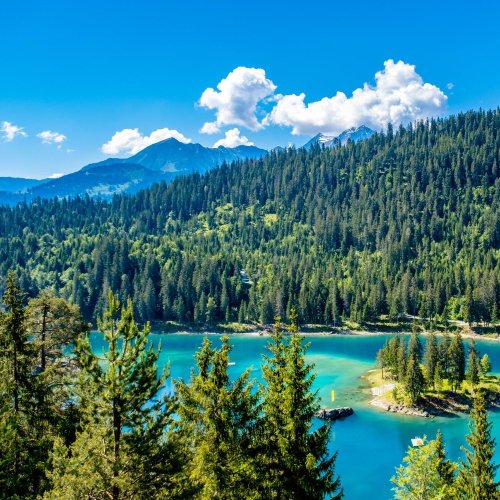 Тест по географии: Сибирь. Освоение территории, население и хозяйство (9 класс)