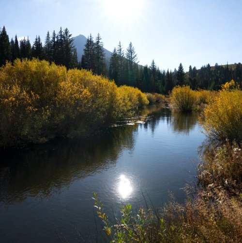 Тест по окружающему миру: Моря, озёра и реки России (4 класс)