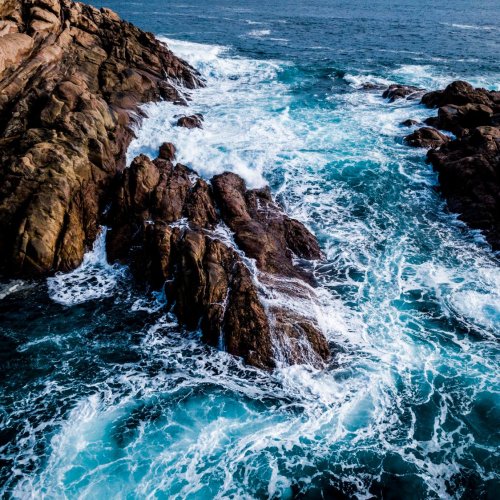 Тест по географии: Каковы особенности природы Атлантического океана (7 класс)