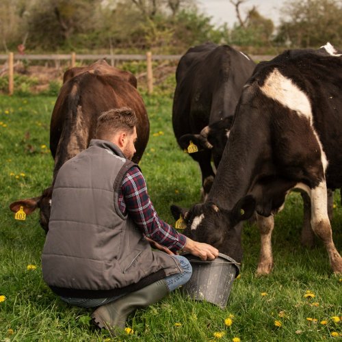 Тест по биологии: Животноводство (8 класс)