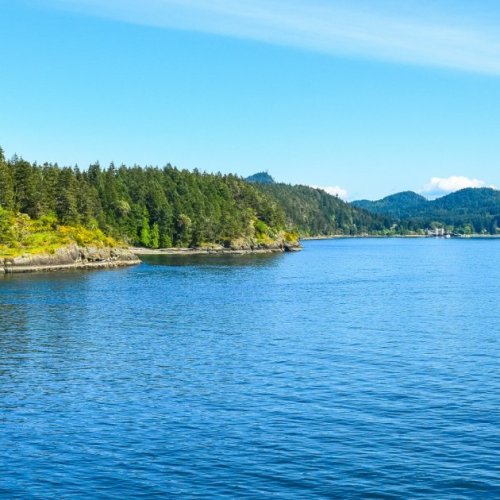 Тест по окружающему миру: Водные богатства нашего края (4 класс)