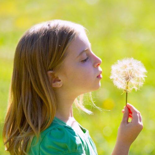 Тест по окружающему миру: Плоды путешествуют (3 класс)