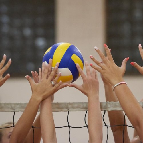 Тест по физкультуре: Волейбол (10-11 класс)