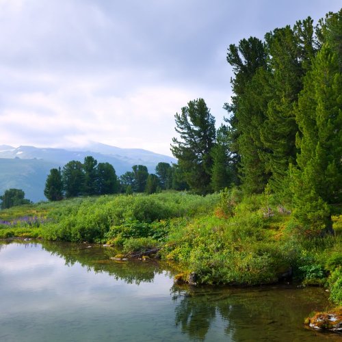 Тест по окружающему миру: Природа России (4 класс)