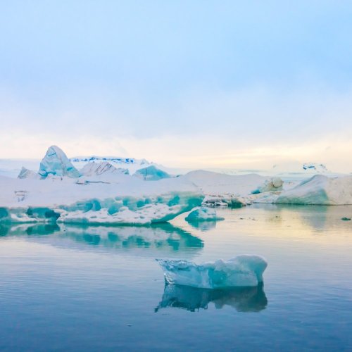 Тест по географии: Российские исследования в Арктике (5-6 класс)