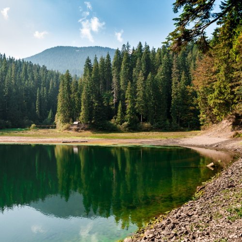 Тест по окружающему миру: Значение водных богатств и их охрана (4 класс)