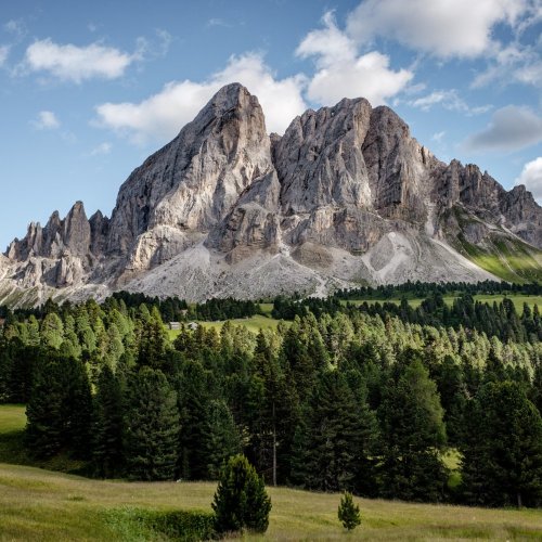 Тест по окружающему миру: Красота гор (2 класс)