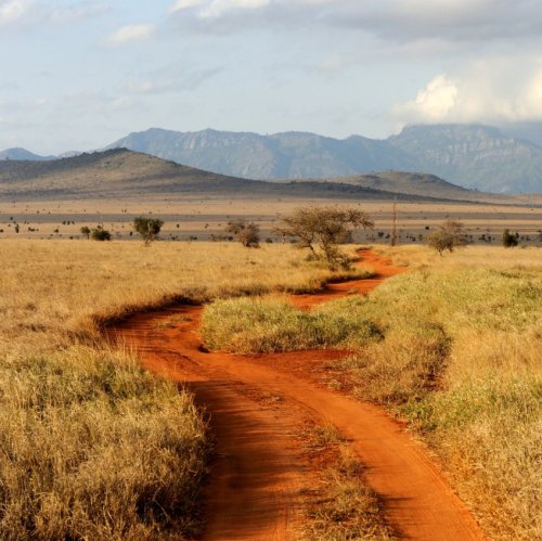 Тест по географии: Южно-Африканская Республика (11 класс)