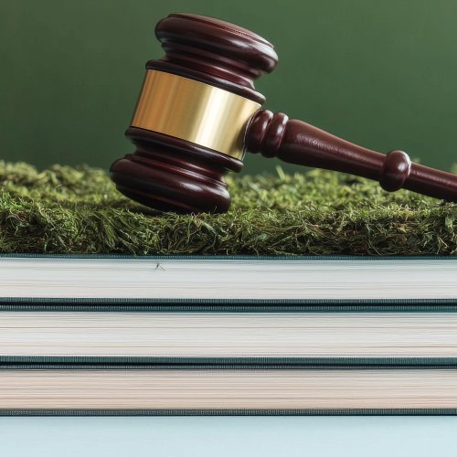 Тест по обществознанию: Источники и принципы международного гуманитарного права (11 класс, углублённый уровень)