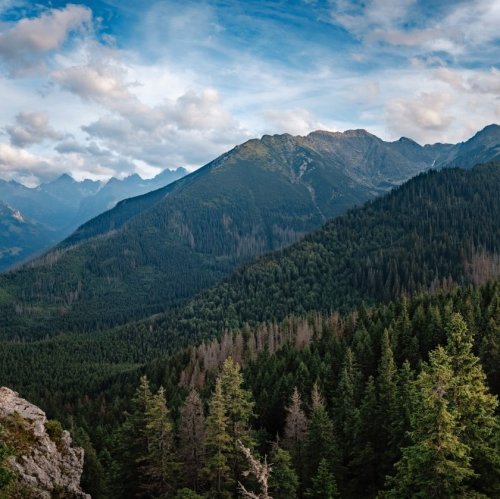 Тест по окружающему миру: Холм и гора (2 класс)