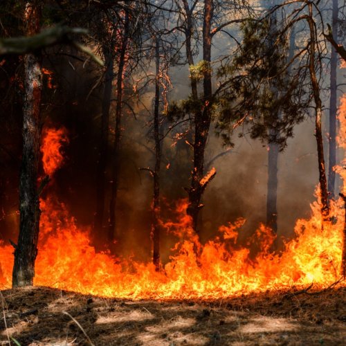 Тест по ОБЖ: Классификация чрезвычайных ситуаций природного и техногенного характера (9 класс)