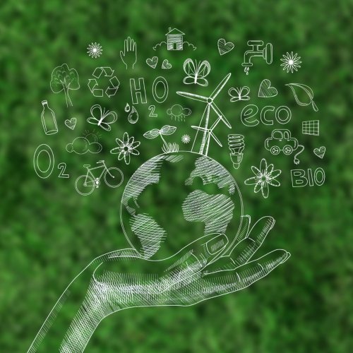 Тест по биологии: Экологические факторы (7 класс)