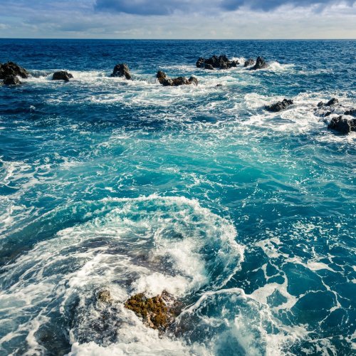 Тест по географии: Каковы особенности природы Индийского океана (7 класс)