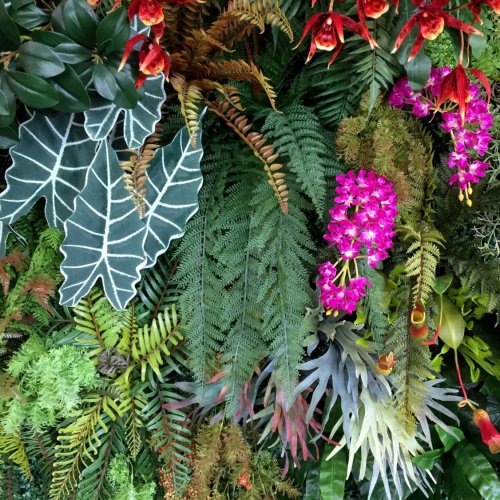 Тест по биологии: Многообразие растений (6 класс)