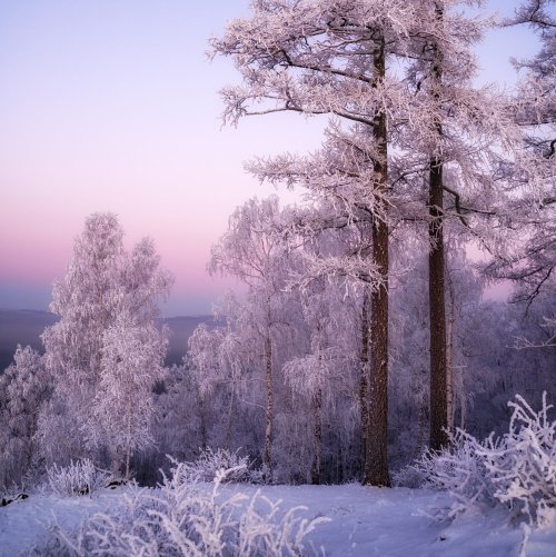 Тест: Февраль — что вы знаете о третьем месяце зимы?