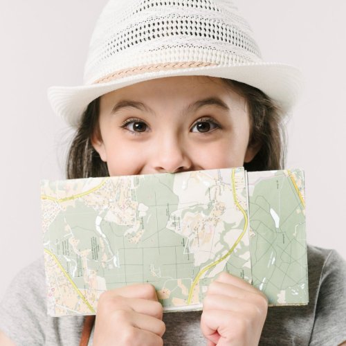 Тест по окружающему миру: О чём расскажет план (3 класс)