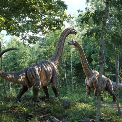 Тест по биологии: Динозавры (11 класс)