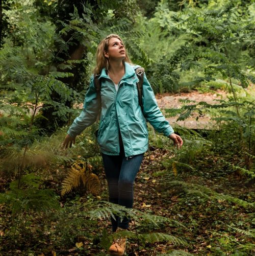 Тест по окружающему миру: Лес и человек (4 класс)