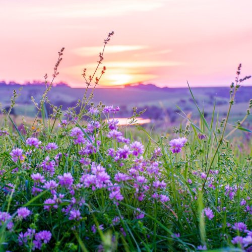 Тест по окружающему миру: Эта удивительная природа (3 класс)
