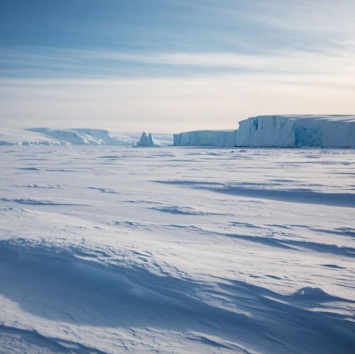 Тест по биологии: Арктическая пустыня (5 класс)