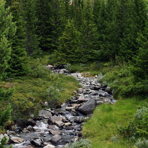 Тест по окружающему миру: Природные зоны России (4 класс)