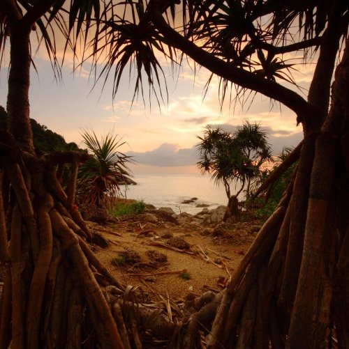 Тест по географии: Тропическая Африка. Виден ли свет в конце туннеля (11 класс)