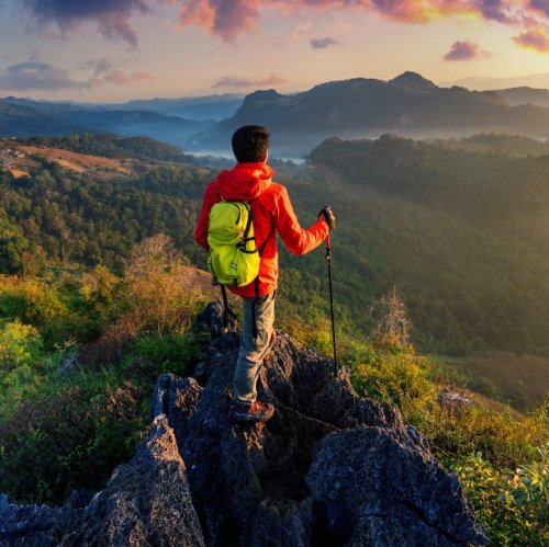 Тест по физкультуре: Туризм (10-11 класс)