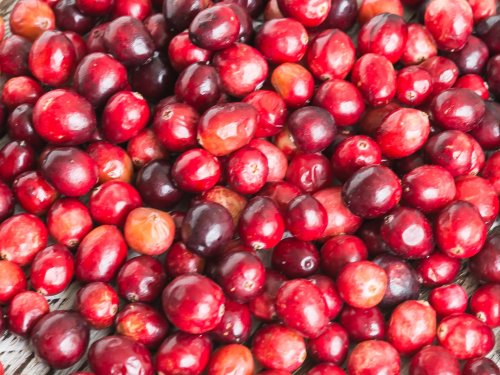 Первые европейские поселенцы в Америке называли эту ягоду cranberry («журавлиная ягода»).